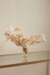 Vesna Collection
