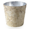 Birch Collection