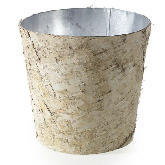 Birch Collection