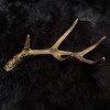 Gold Metal Antler