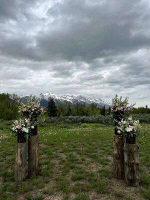 IMG5030jpeg