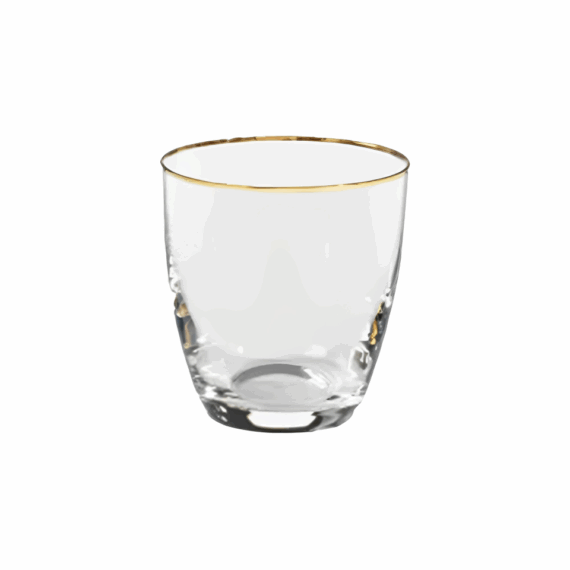 Golden Rim Tumbler Glass