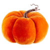 Velvet Pumpkin