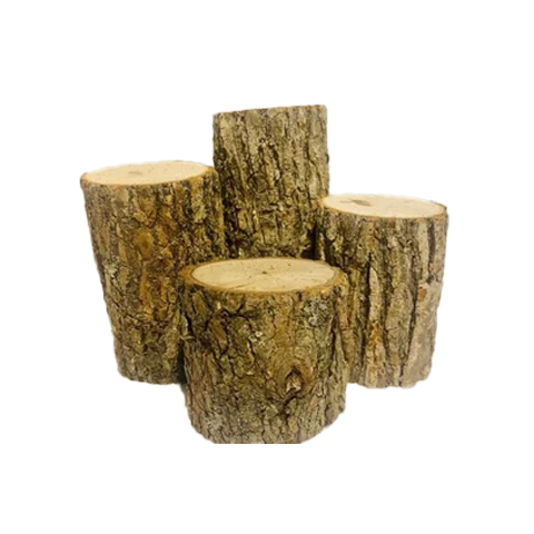 Wood Stumps
