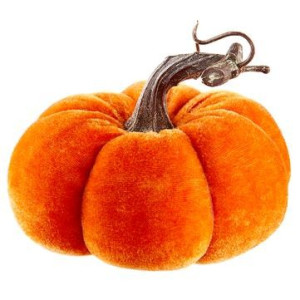 3522Hx4522DVelvetPumpkinOrangejpg