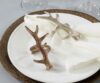 Antler Napkin Ring - Silver