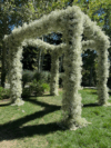 Chuppah 80"
