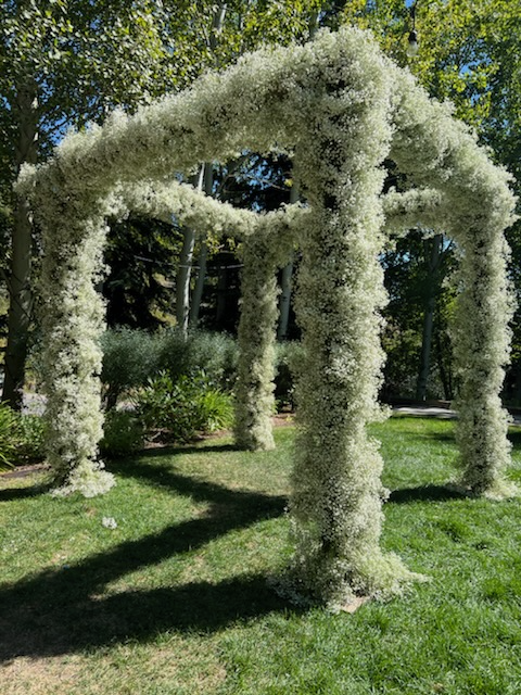 Chuppah 80"