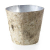 Birch Collection