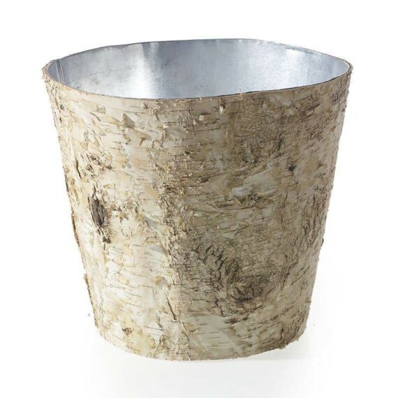 Birch Collection