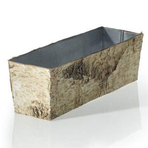12x4BirchCollectionjpeg
