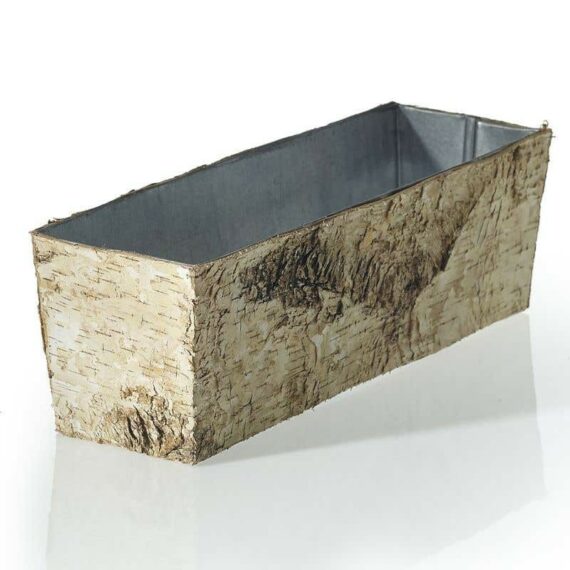 Birch Collection