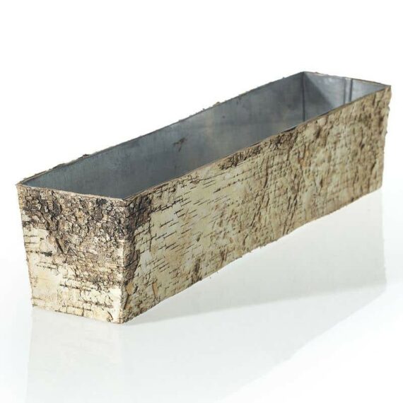 Birch Collection
