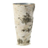 Birch Collection