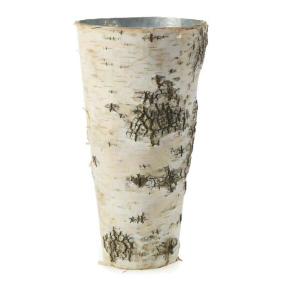 Birch Collection