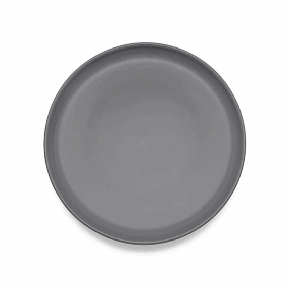 Pacifica Seed Grey Plates
