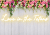 Love in the Tetons Neon Sign