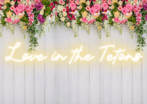 Love in the Tetons Neon Sign