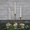 Richland Glass Chimney Candle Shade