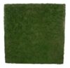 Moss Wall Plate with Ferns Green