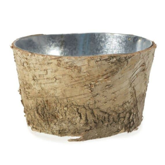 Birch Collection