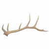 Large Antlers