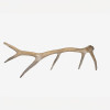 Large Antlers