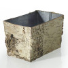 Birch Collection