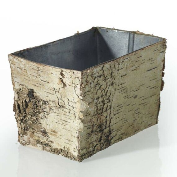 Birch Collection