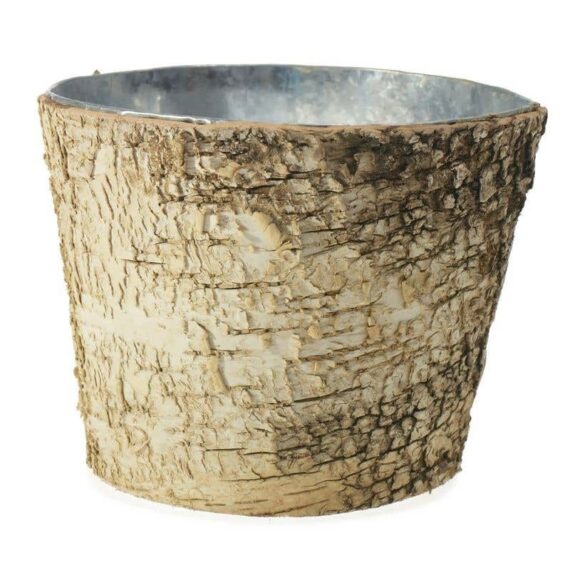Birch Collection