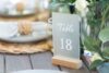 Frosted Table Number Signs