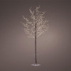 LED Trees us Brisch Outdoor