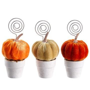 Pumpkin Namecard Holder