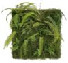 Moss Wall Plate