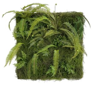 Moss Wall Plate