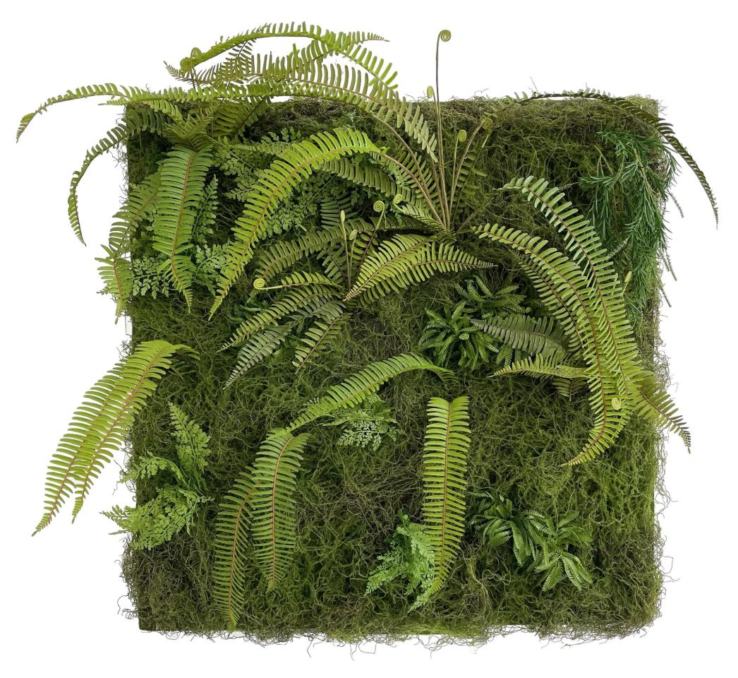 Moss Wall Plate