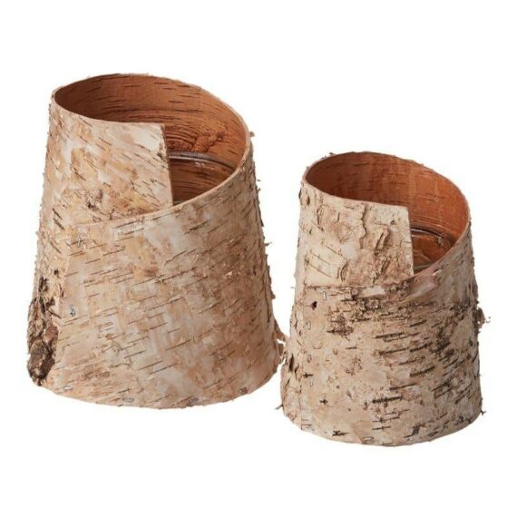 Alder Vase