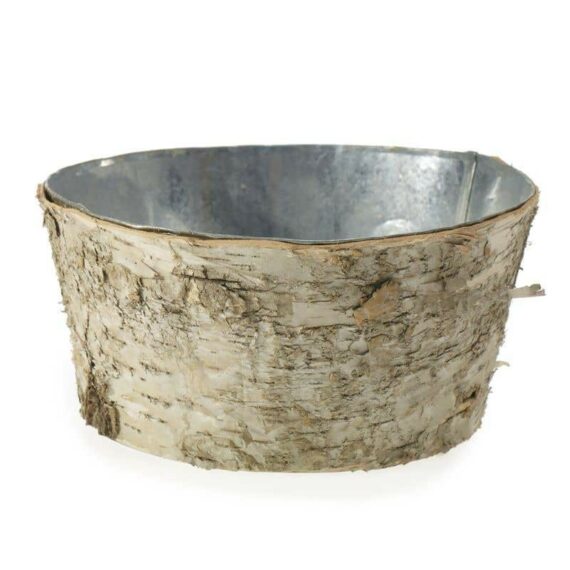 Birch Collection