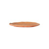 Silvina Terracotta Orange White Plates