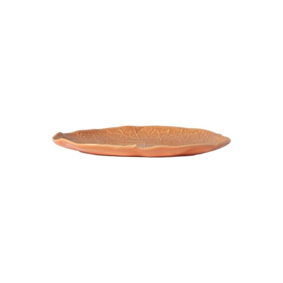 Silvina Terracotta Orange White Plates