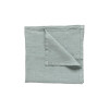 Maria Linen Napkin | Mint